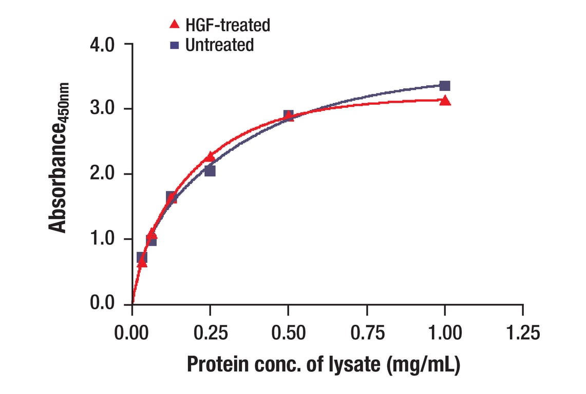 ELISA and/or ELISA-like Assays Image 4: Met (D1C2) Rabbit Monoclonal Antibody (BSA and Azide Free)