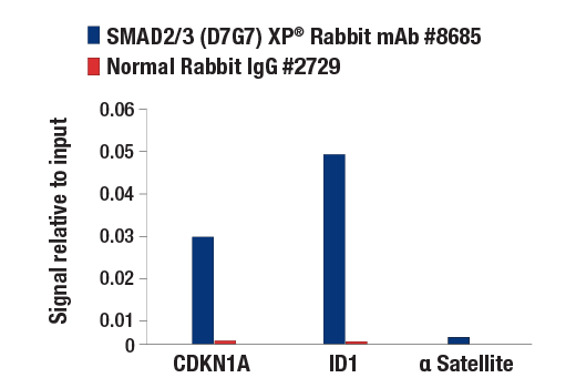 undefined Image 28: SMAD2/3 Antibody Sampler Kit