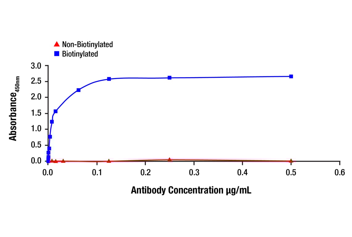 undefined Image 1: Stat6 (D3H4) Rabbit Monoclonal Antibody (Biotinylated)