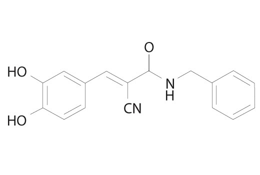 undefined Image 2: Tyrphostin AG-490