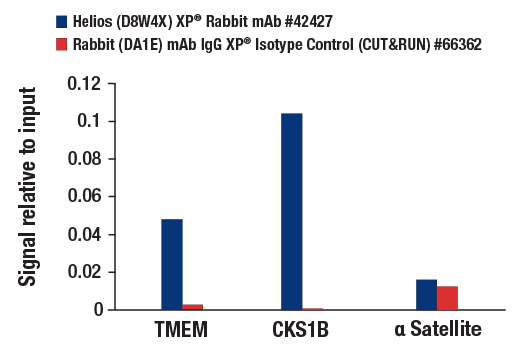 CUT & RUN Image 3: Helios (D8W4X) Rabbit Monoclonal Antibody