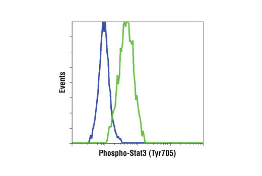 Flow Cytometry Image 1: Phospho-Stat3 (Tyr705) (M9C6) Mouse Monoclonal Antibody (BSA and Azide Free)