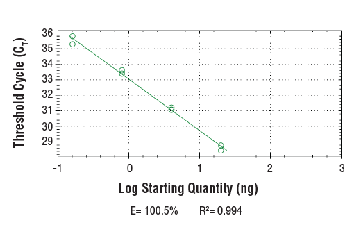 Chromatin Immunoprecipitation Image 2: SimpleChIP<sup>®</sup> Human MRPL36 Promoter Primers