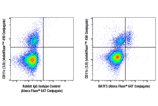 Flow Cytometry Image 1: BATF3 (E3K5H) Rabbit mAb (Alexa Fluor<sup>®</sup> 647 Conjugate)