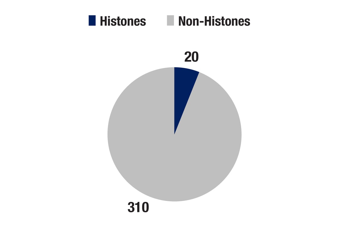 PTMScan Image 2: PTMScan<sup>®</sup> Mono-Methyl Lysine Motif (mme-K) Kit