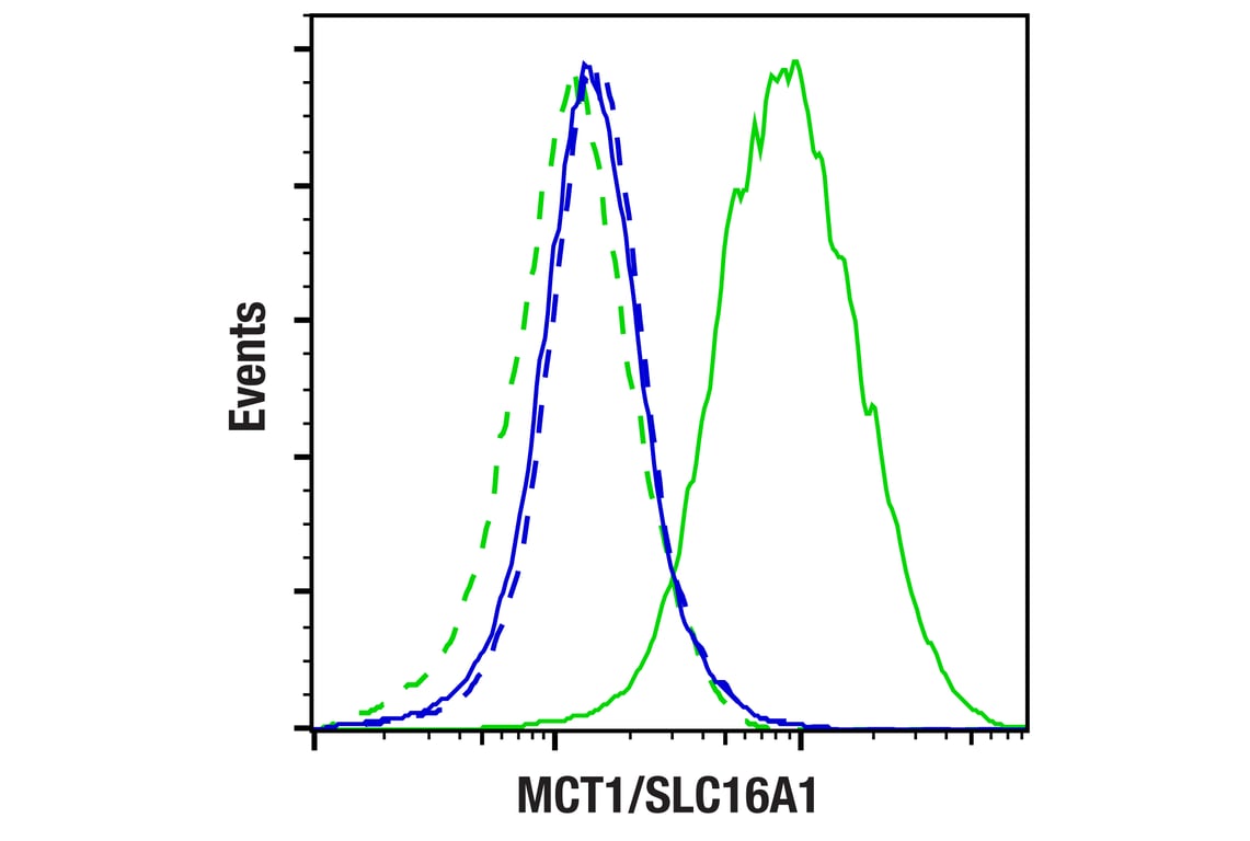 Flow Cytometry Image 1: MCT1/SLC16A1 (E7A2K) Rabbit Monoclonal Antibody