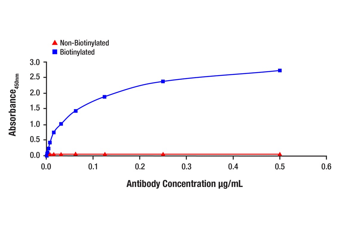 ELISA and/or ELISA-like Assays Image 1: Phospho-Akt (Ser473) (D9E) Rabbit Monoclonal Antibody (Biotinylated)