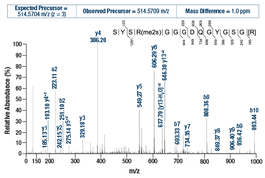 undefined Image 3: PTMScan<sup>®</sup> Control Peptides Symmetric Di-Methyl Arginine