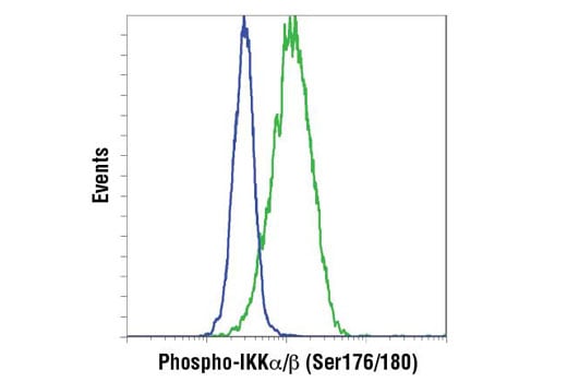 undefined Image 16: NF-κB Pathway Antibody Sampler Kit