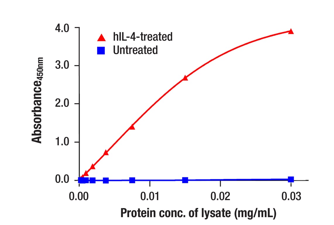 ELISA and/or ELISA-like Assays Image 4: Stat6 (D3H4) Rabbit Monoclonal Antibody (BSA and Azide Free)