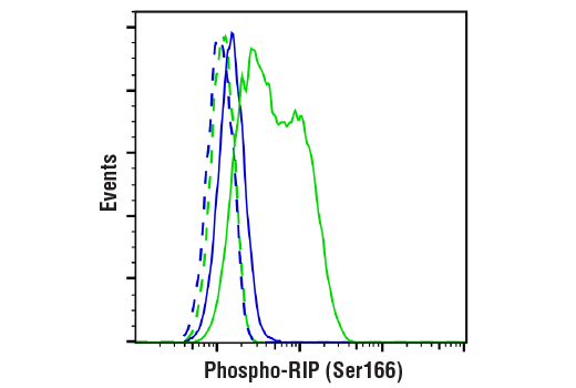 Flow Cytometry Image 1: Phospho-RIP (Ser166) (D8I3A) Rabbit Monoclonal Antibody