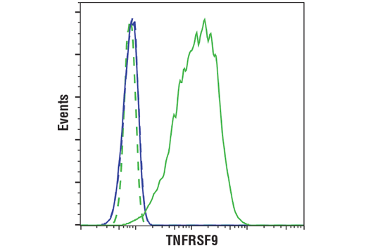 ｃｄ4 NeuN (D4G4O) XP® Rabbit mAb (Alexa Fluor® 594 Conjugate