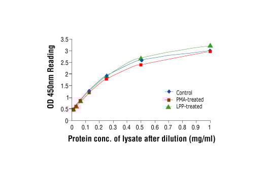 ELISA Image 2: PathScan<sup>®</sup> Total MEK1 Sandwich ELISA Kit