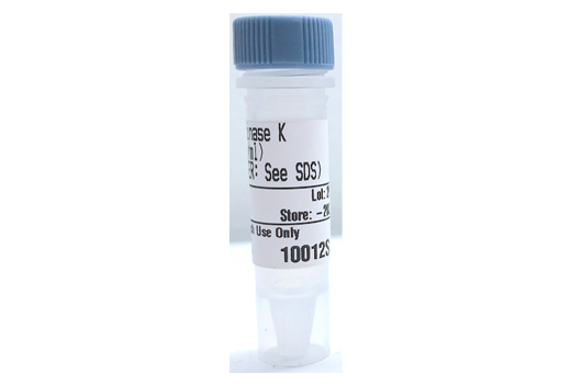  Image 1: Proteinase K (20 mg/ml)