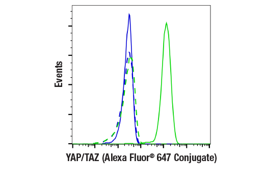 Flow Cytometry Image 1: YAP/TAZ (D24E4) Rabbit mAb (Alexa Fluor® 647 Conjugate)