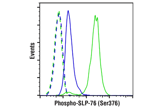 Flow Cytometry Image 4: Phospho-SLP-76 (Ser376) (E3G9U) XP® Rabbit mAb (BSA and Azide Free)