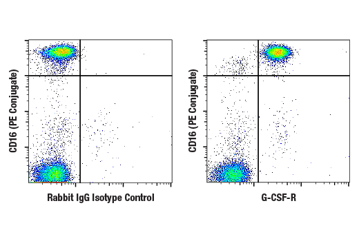 Flow Cytometry Image 1: G-CSF-R (E8E7D) Rabbit mAb