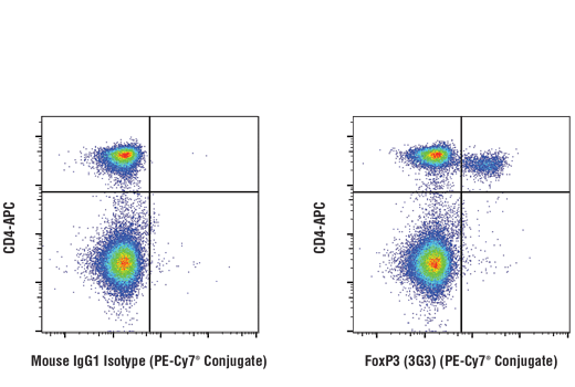 Flow Cytometry Image 1: FoxP3 (3G3) Mouse mAb (PE-Cy7® Conjugate)