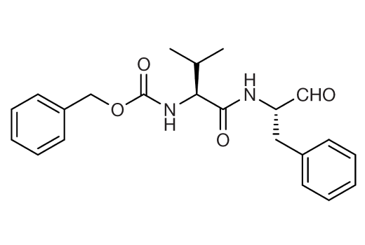  Image 1: MDL-28170 (Calpain Inhibitor III)