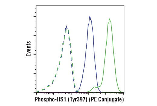 Flow Cytometry Image 1: Phospho-HS1 (Tyr397) (D12C1) XP® Rabbit mAb (PE Conjugate)