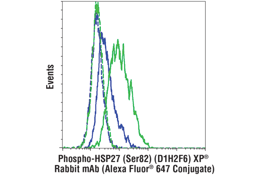 Flow Cytometry Image 1: Phospho-HSP27 (Ser82) (D1H2F6) XP® Rabbit mAb (Alexa Fluor® 647 Conjugate)