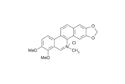  Image 2: Chelerythrine Chloride