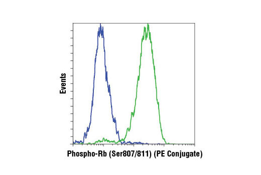 Flow Cytometry Image 1: Phospho-Rb (Ser807/811) (D20B12) XP® Rabbit mAb (PE Conjugate)
