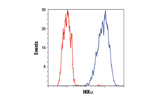 Flow Cytometry Image 1: IKKα (3G12) Mouse mAb