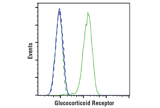 Flow Cytometry Image 1: Glucocorticoid Receptor (D6H2L) XP® Rabbit mAb