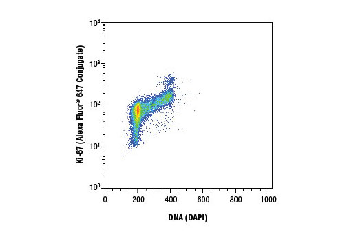 Flow Cytometry Image 1: Ki-67 (D3B5) Rabbit mAb (Alexa Fluor® 647 Conjugate)
