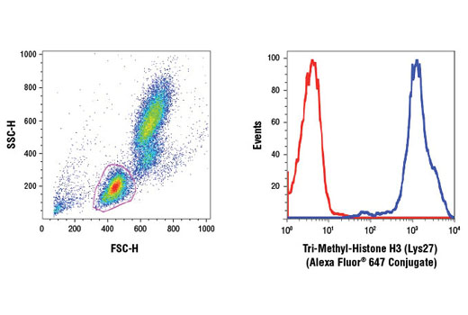 Flow Cytometry Image 1: Tri-Methyl-Histone H3 (Lys27) (C36B11) Rabbit mAb (Alexa Fluor® 647 Conjugate)