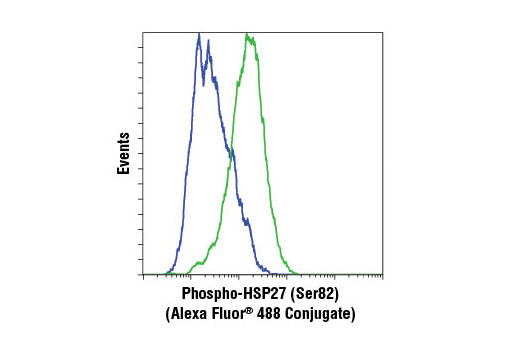Flow Cytometry Image 1: Phospho-HSP27 (Ser82) (D1H2F6) XP® Rabbit mAb (Alexa Fluor® 488 Conjugate)