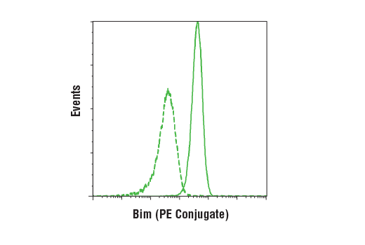 Flow Cytometry Image 1: Bim (C34C5) Rabbit mAb (PE Conjugate)