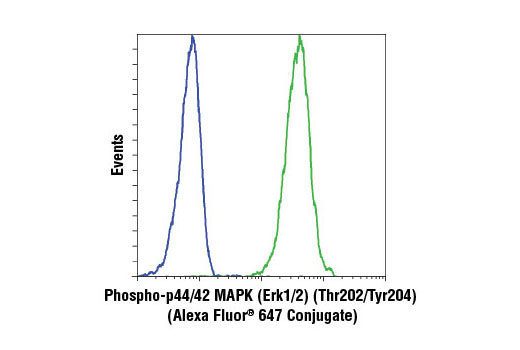  Image 1: MAPK Family Alexa Fluor® 647 Conjugated Antibody Sampler Kit