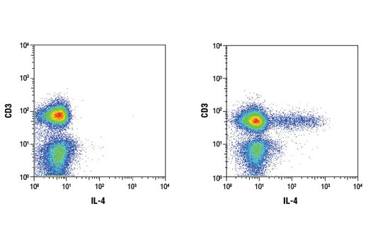 Flow Cytometry Image 1: IL-4 (D19A10) Rabbit mAb