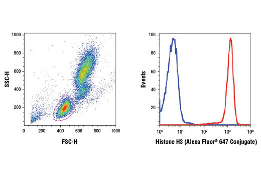 Flow Cytometry Image 1: Histone H3 (D1H2) XP® Rabbit mAb (Alexa Fluor® 647 Conjugate)