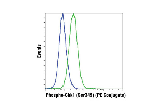 Flow Cytometry Image 1: Phospho-Chk1 (Ser345) (133D3) Rabbit mAb (PE Conjugate)