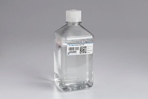  Image 1: Tris-Glycine Transfer Buffer (10X)