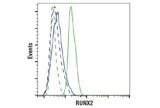 Flow Cytometry Image 1: RUNX2 (D1L7F) Rabbit mAb