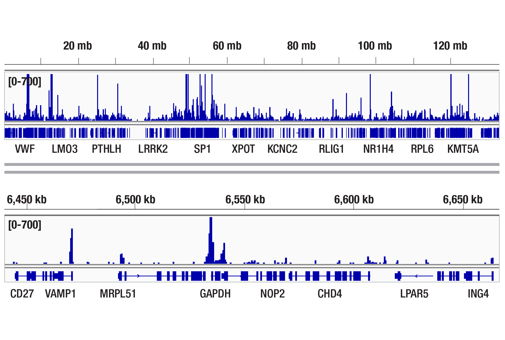 CUT & Tag Image 2: TBP (D5G7Y) Rabbit Monoclonal Antibody