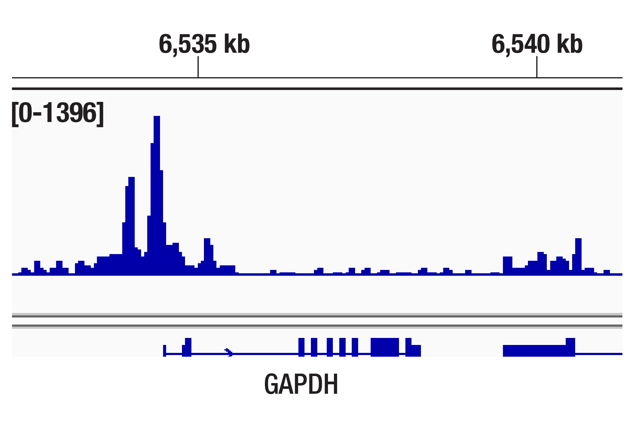 CUT & Tag Image 1: TBP (D5G7Y) Rabbit Monoclonal Antibody