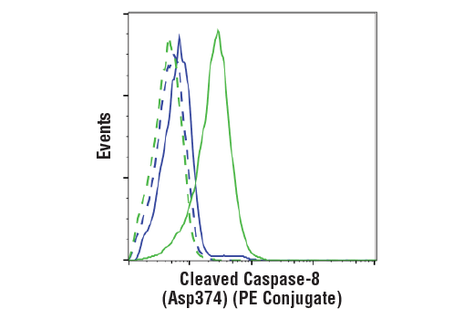 Flow Cytometry Image 1: Cleaved Caspase-8 (Asp374) (18C8) Rabbit mAb (PE Conjugate)