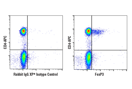 Flow Cytometry Image 1: FoxP3 (D6O8C) Rabbit mAb