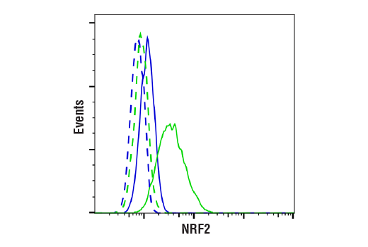 Flow Cytometry Image 1: NRF2 (D1Z9C) XP® Rabbit mAb