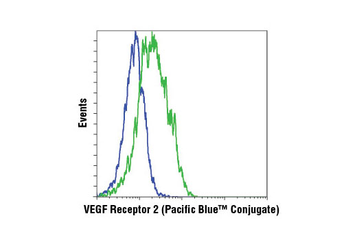 Flow Cytometry Image 1: VEGF Receptor 2 (D5B1) Rabbit mAb (Pacific Blue™ Conjugate) 