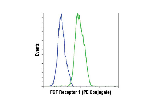 Flow Cytometry Image 1: FGF Receptor 1 (D8E4) XP® Rabbit mAb (PE Conjugate)