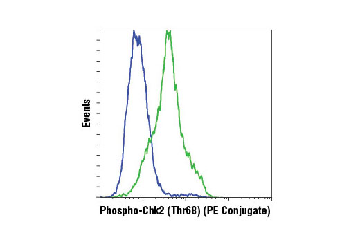 Flow Cytometry Image 1: Phospho-Chk2 (Thr68) (C13C1) Rabbit mAb (PE Conjugate)