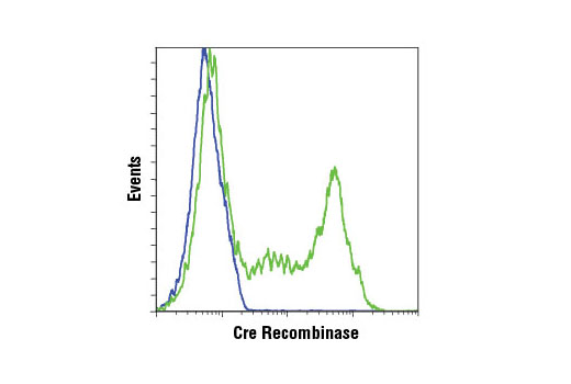 Flow Cytometry Image 1: Cre Recombinase (D3U7F) Rabbit mAb