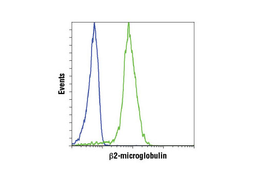 Flow Cytometry Image 1: β2-microglobulin (D8P1H) Rabbit mAb
