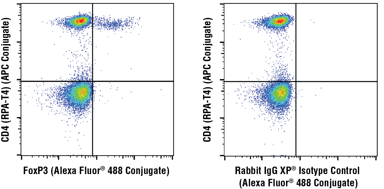 Flow Cytometry Image 1: FoxP3 (D6O8C) Rabbit mAb (Alexa Fluor® 488 Conjugate)